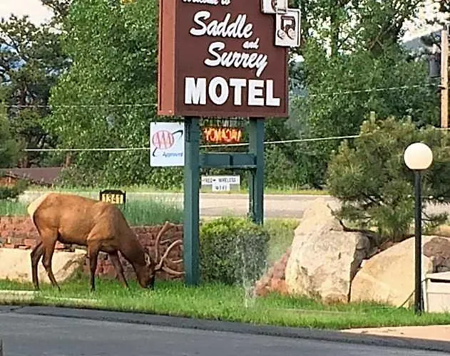 Saddle & Surrey Motel